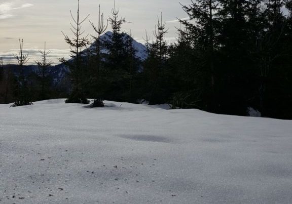 20190303_144024 20190303_144024
